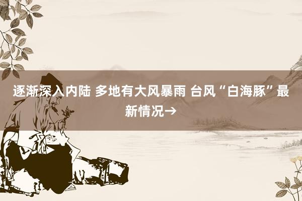 逐渐深入内陆 多地有大风暴雨 台风“白海豚”最新情况→