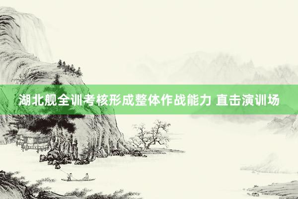 湖北舰全训考核形成整体作战能力 直击演训场