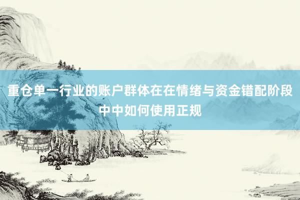 重仓单一行业的账户群体在在情绪与资金错配阶段中中如何使用正规