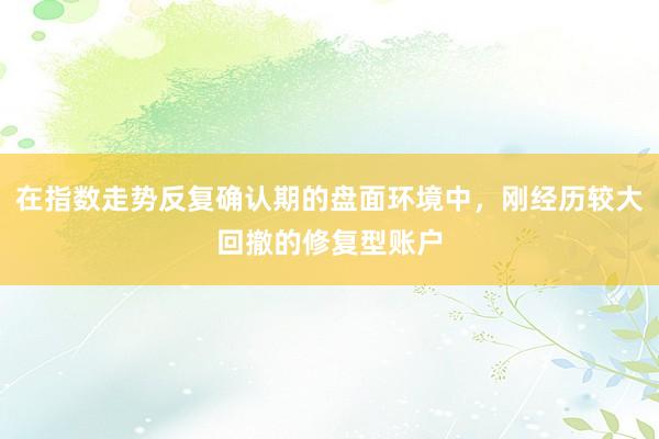 在指数走势反复确认期的盘面环境中，刚经历较大回撤的修复型账户