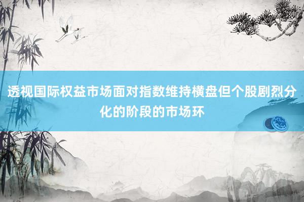 透视国际权益市场面对指数维持横盘但个股剧烈分化的阶段的市场环