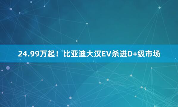 24.99万起！比亚迪大汉EV杀进D+级市场