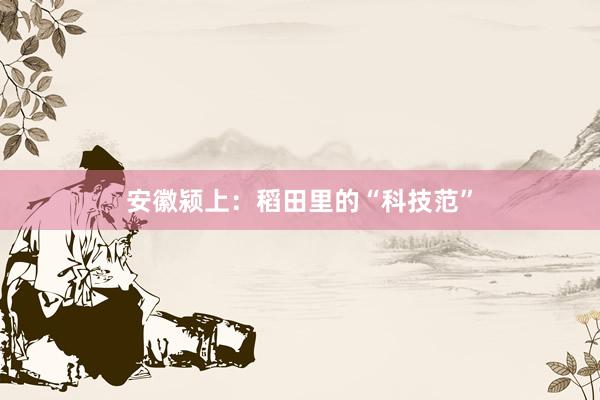 安徽颍上：稻田里的“科技范”