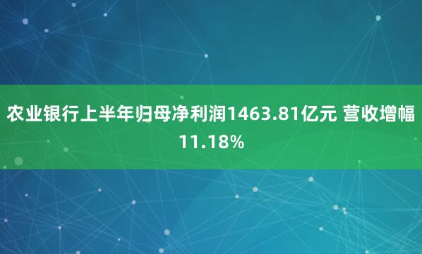 农业银行上半年归母净利润1463.81亿元 营收增幅11.18%
