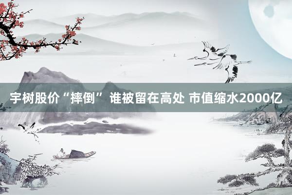 宇树股价“摔倒” 谁被留在高处 市值缩水2000亿