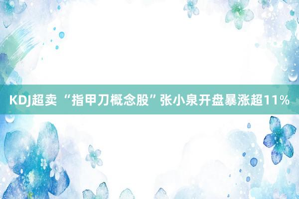 KDJ超卖 “指甲刀概念股”张小泉开盘暴涨超11%