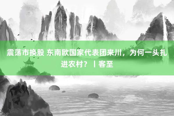 震荡市换股 东南欧国家代表团来川，为何一头扎进农村？丨客至