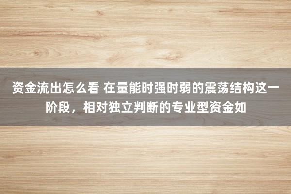 资金流出怎么看 在量能时强时弱的震荡结构这一阶段，相对独立判断的专业型资金如