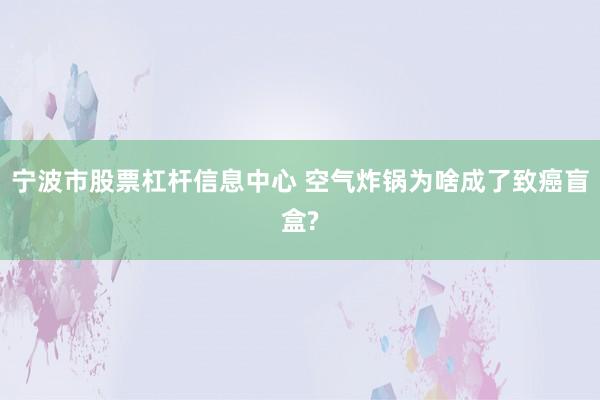 宁波市股票杠杆信息中心 空气炸锅为啥成了致癌盲盒?