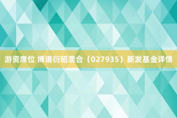 游资席位 博道衍昭混合（027935）新发基金详情
