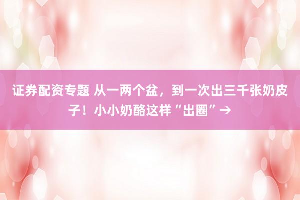 证券配资专题 从一两个盆，到一次出三千张奶皮子！小小奶酪这样“出圈”→