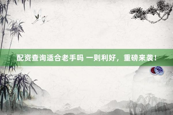 配资查询适合老手吗 一则利好，重磅来袭！