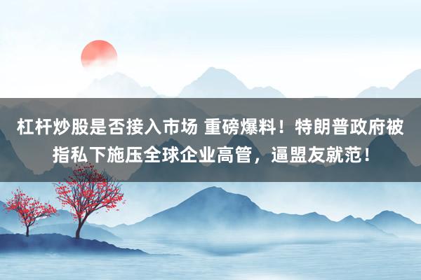 杠杆炒股是否接入市场 重磅爆料！特朗普政府被指私下施压全球企业高管，逼盟友就范！